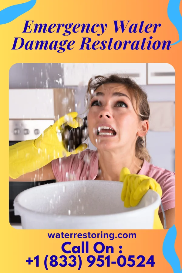 Emergency Water Damage Restoration in Mulvane, KS